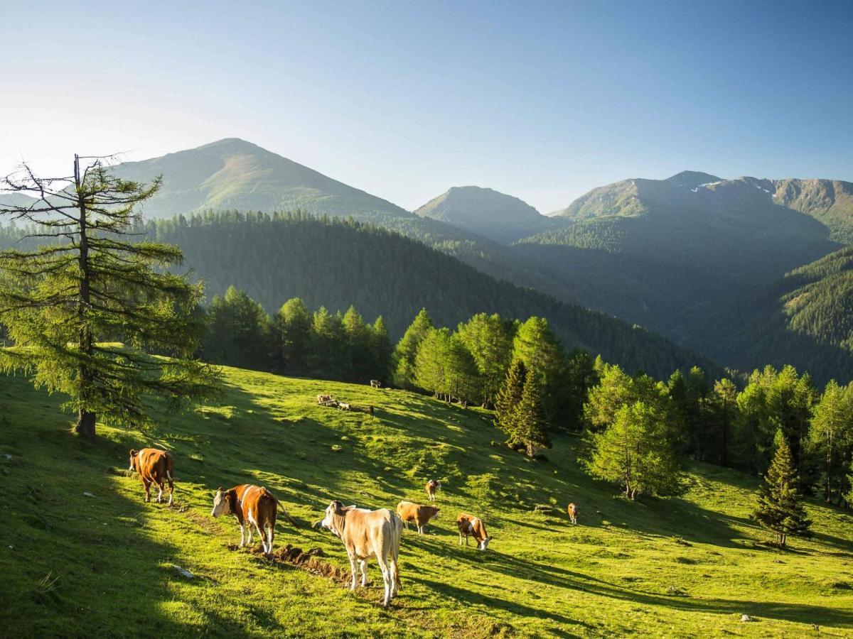 Gasthof Post Krems in Kaernten Ngoại thất bức ảnh